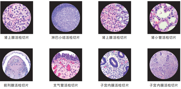 1672970335331531.png 1672970335331531.png